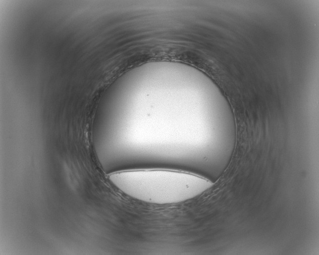 X0000067461013200604070921