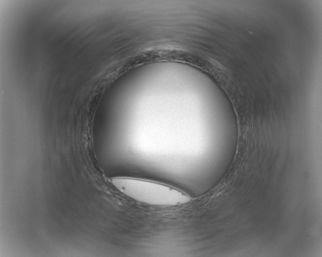 X0000067461014200604070921