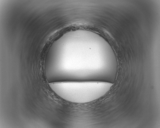 X0000067461016200604070921