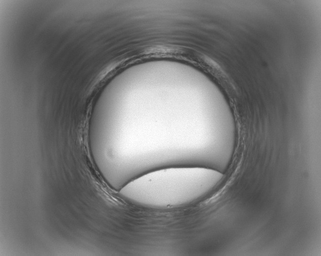 X0000067461017200604070921