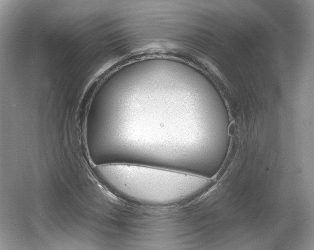 X0000067461018200604070921
