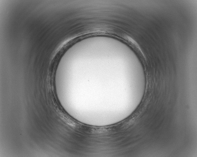 X0000067461019200604070921