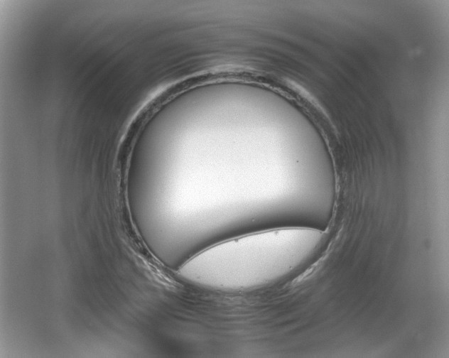 X0000067461021200604070921