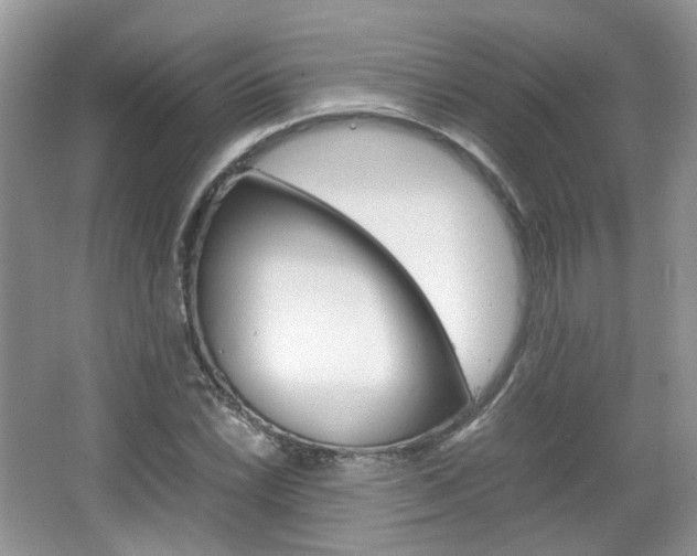 X0000067461022200604070921