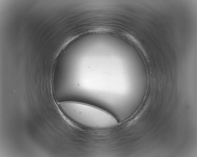 X0000067461041200604070921