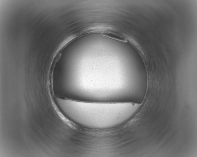 X0000067461042200604070921