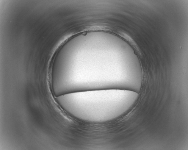 X0000067461043200604070921