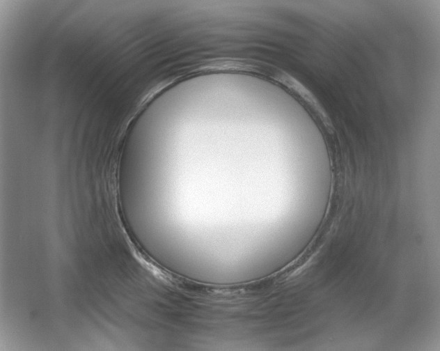 X0000067461049200604070921