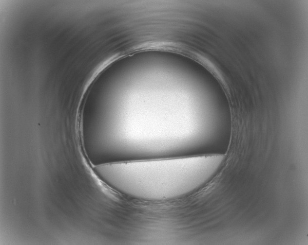 X0000067461050200604070922