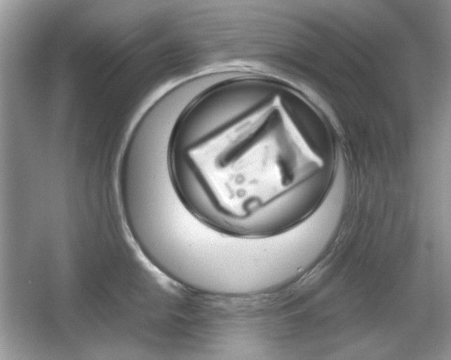 X0000067461054200604070922