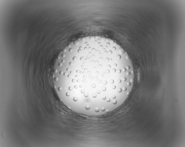 X0000067461059200604070921