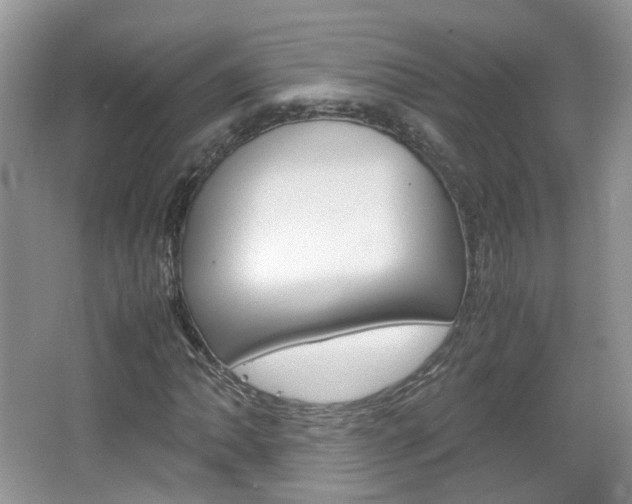 X0000067461062200604070921