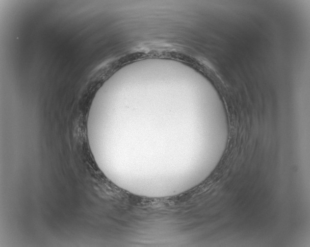 X0000067461063200604070921