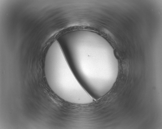 X0000067461064200604070921