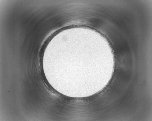 X0000067461070200604070921