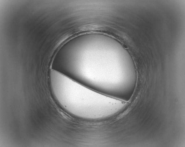 X0000067461073200604070921