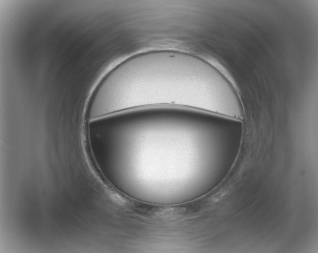 X0000067461093200604070920