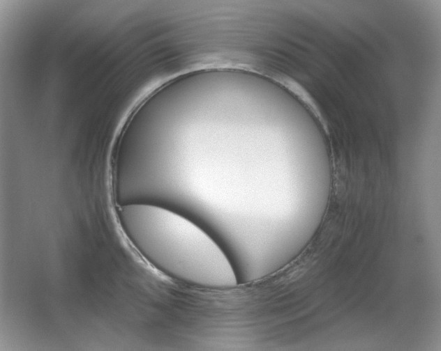 X0000067461096200604070920