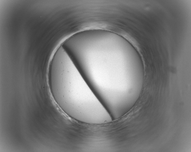 X0000067461104200604070920