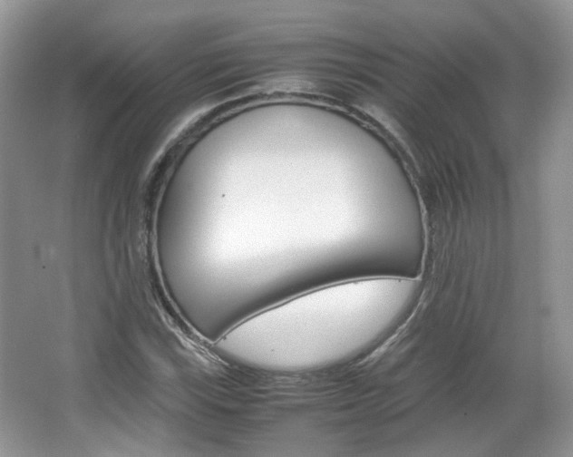 X0000067461115200604070919