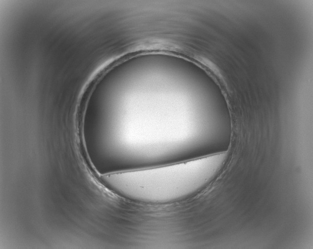 X0000067461120200604070919