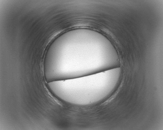 X0000067461121200604070919