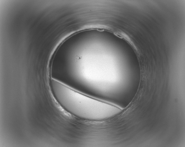 X0000067461140200604070920