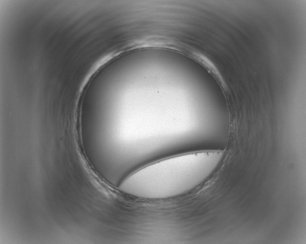 X0000067461146200604070920