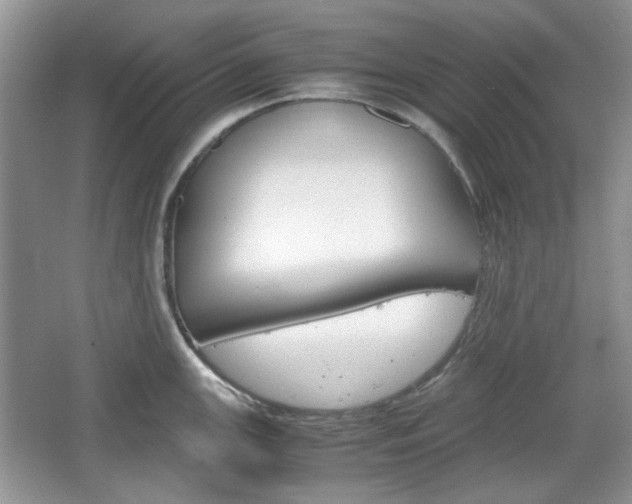 X0000067461147200604070920