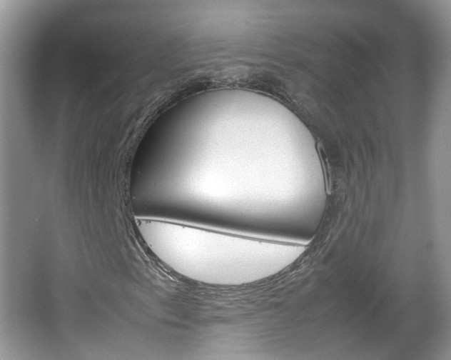 X0000067461153200604070919
