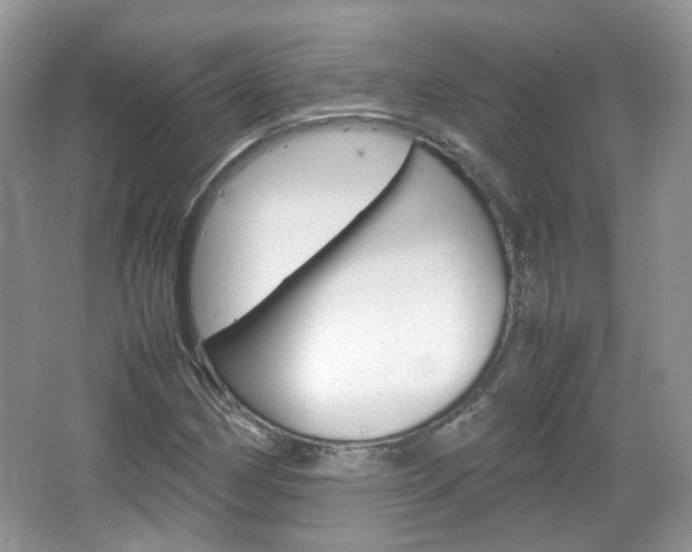 X0000067461162200604070919