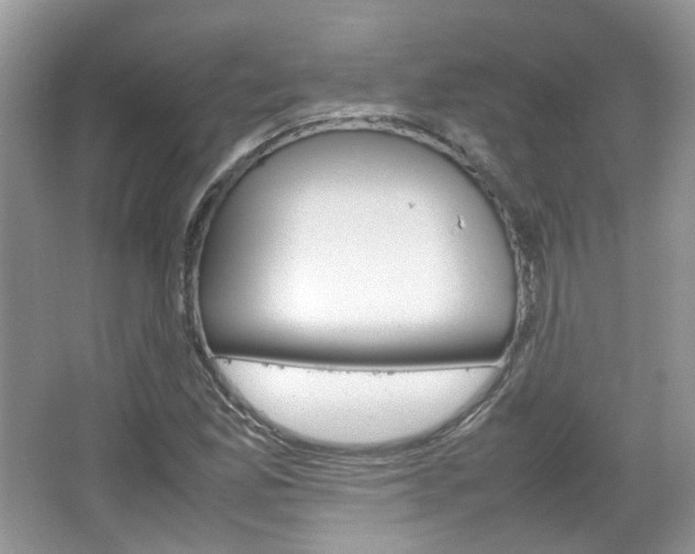 X0000067461165200604070919