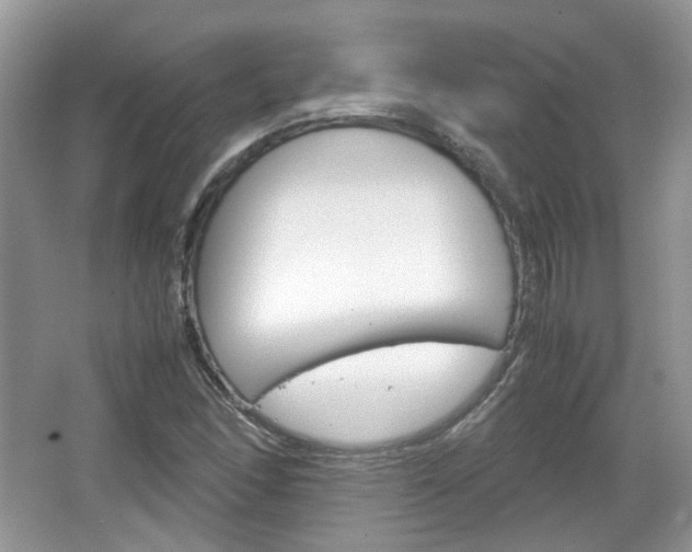X0000067461166200604070919