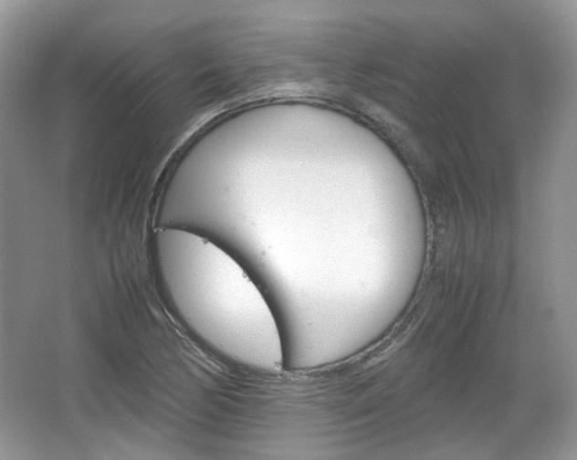 X0000067461170200604070919