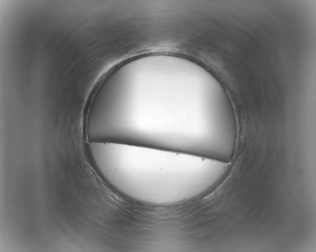 X0000067461174200604070919