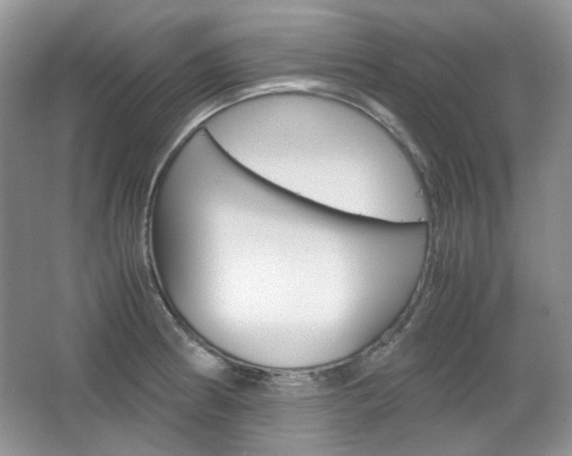 X0000067461186200604070919