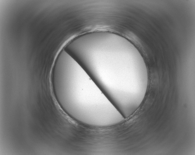 X0000067461190200604070919