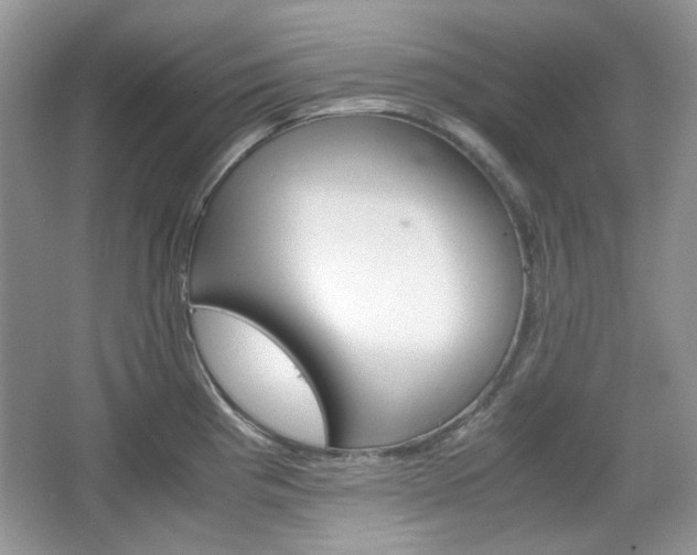 X0000067461193200604070918
