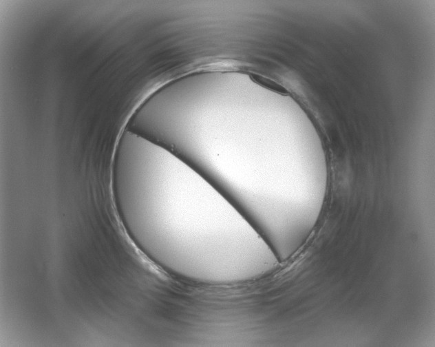 X0000067461194200604070918