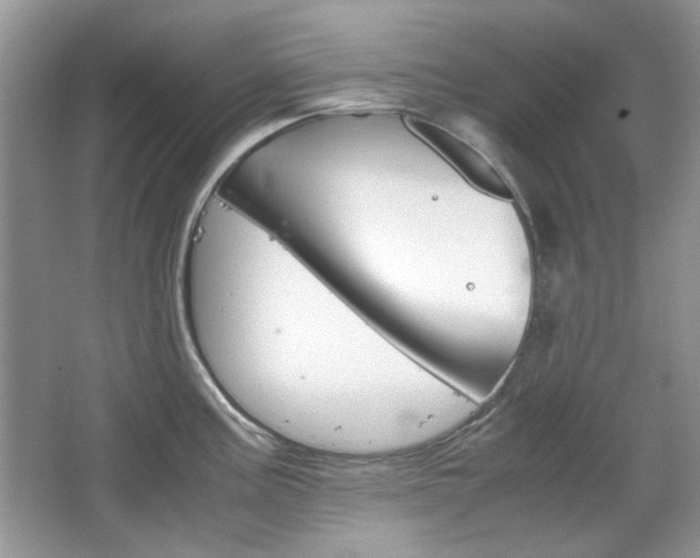 X0000067461195200604070918