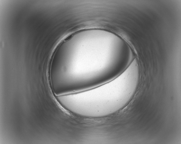 X0000067461197200604070918