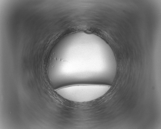 X0000067461201200604070918