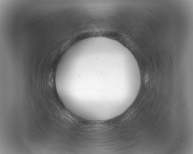 X0000067461204200604070918