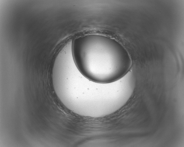 X0000067461206200604070918