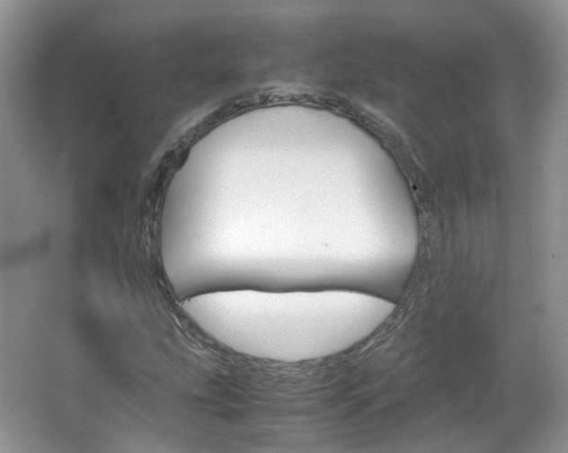 X0000067461207200604070918