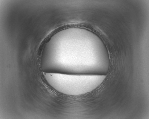X0000067461208200604070918