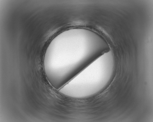X0000067461213200604070918