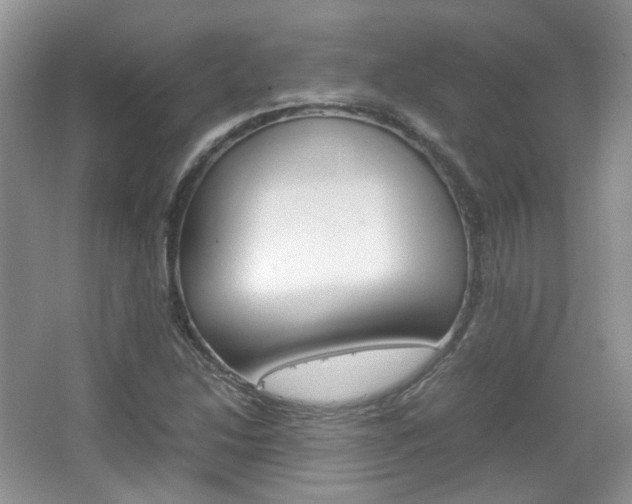 X0000067461214200604070918