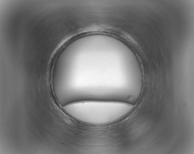 X0000067461216200604070918