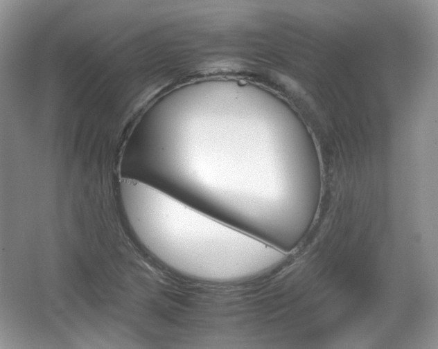 X0000067461217200604070918